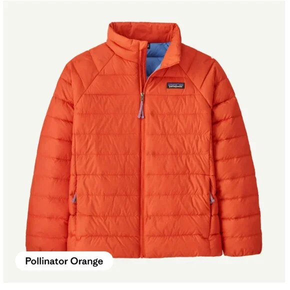 Patagonia down sweater jacket 12-18m EUC - Picture 1 of 12